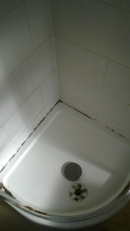 Failed Silicone in Shower